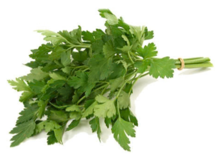 Flat Leaf Parsley