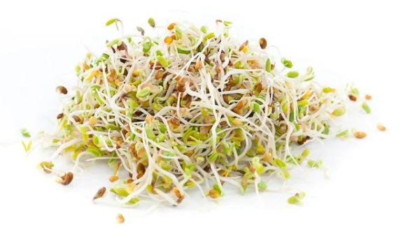 Sprouts