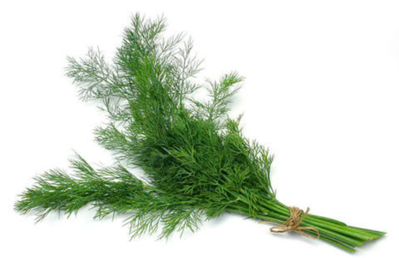 Dill